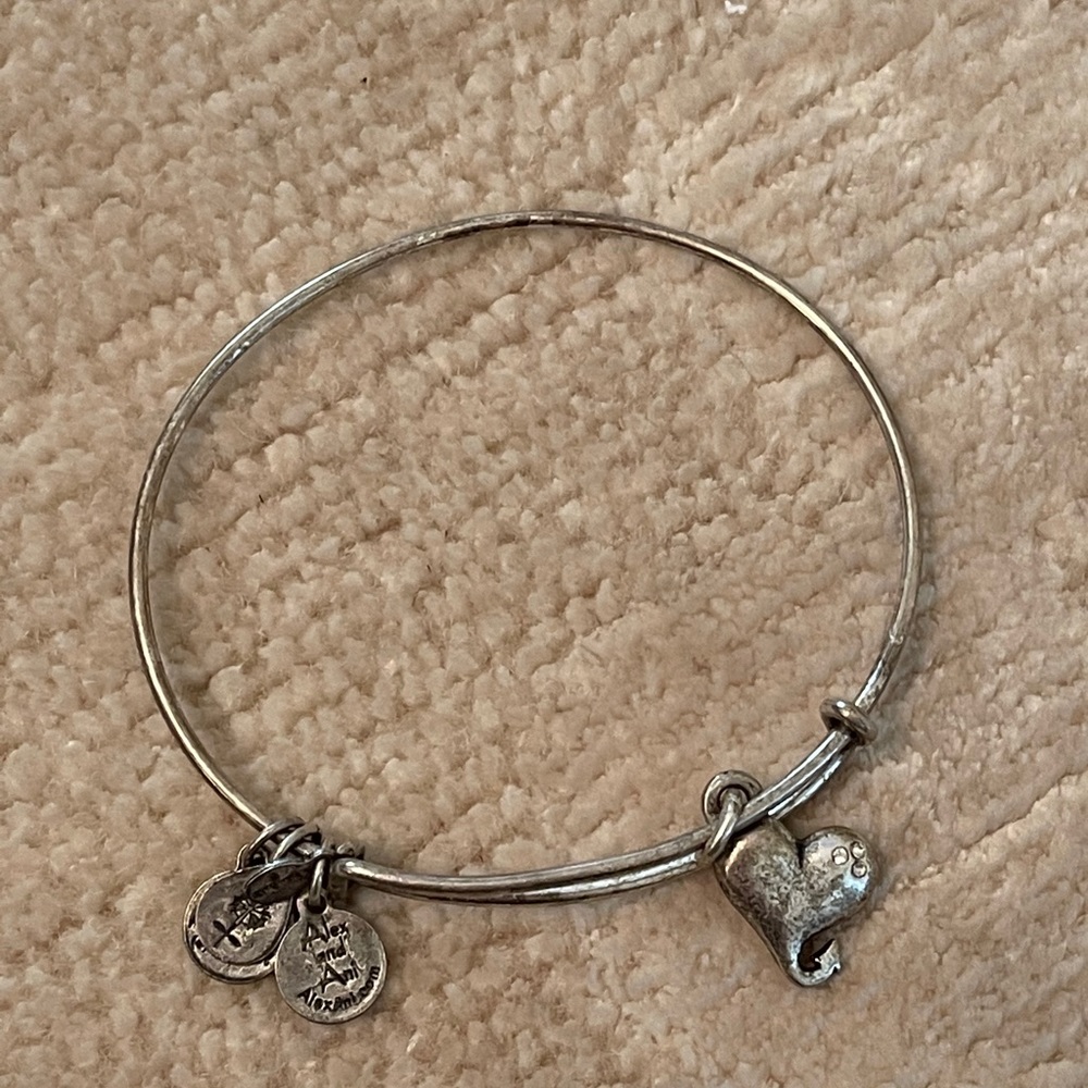 Alex and Ani Bangle Heart w/ Devil Tail Bracelet